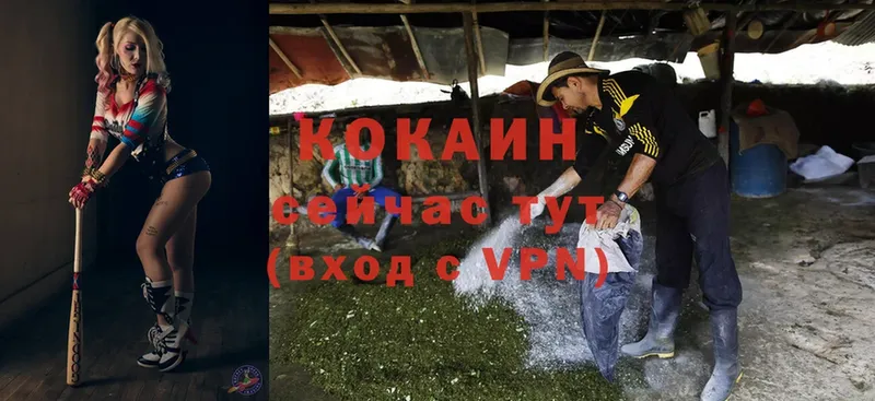 Cocaine 99%  закладки  Верхняя Пышма 